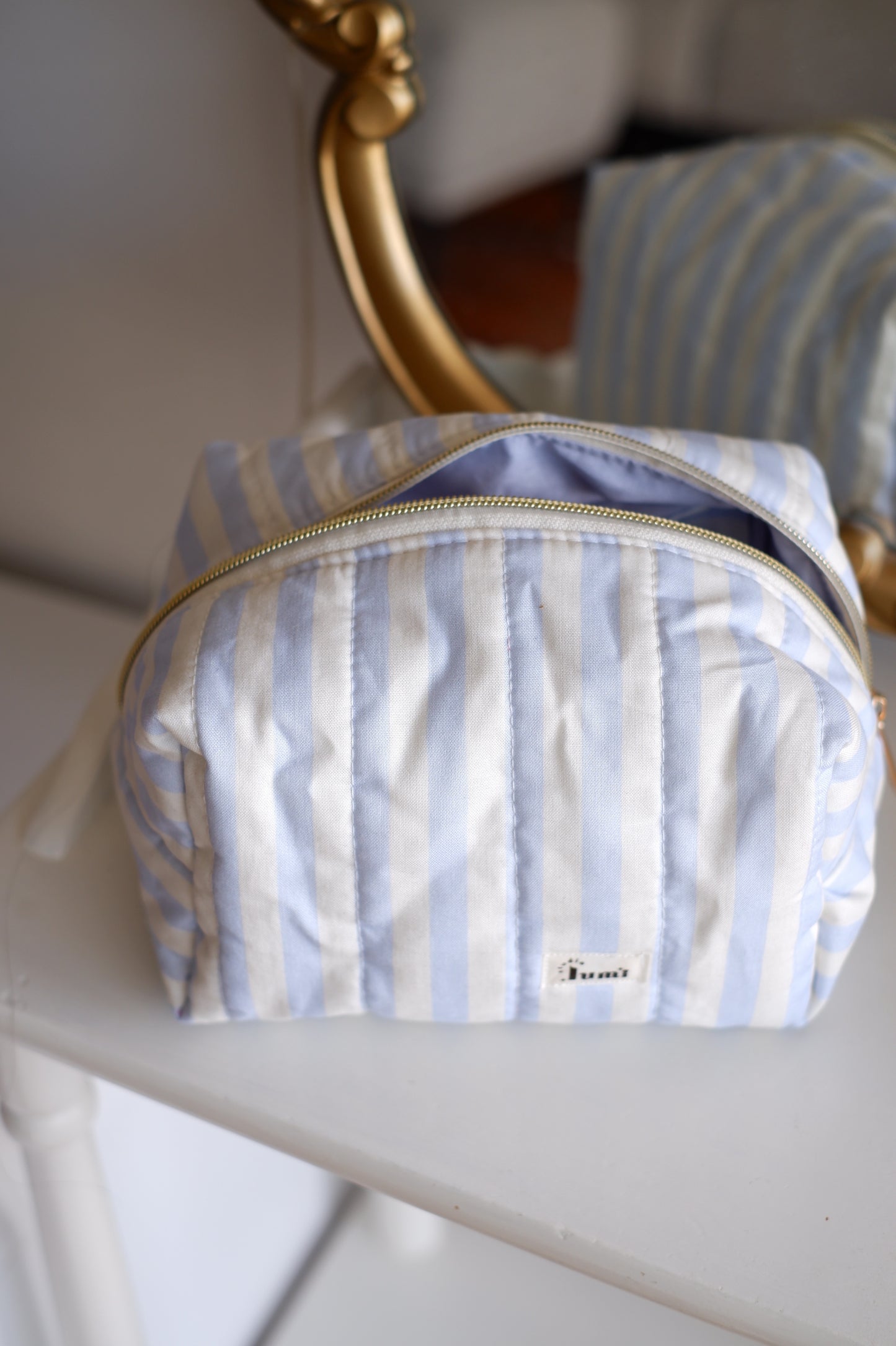 Blue Stripes Carry All Pouch Classic Size