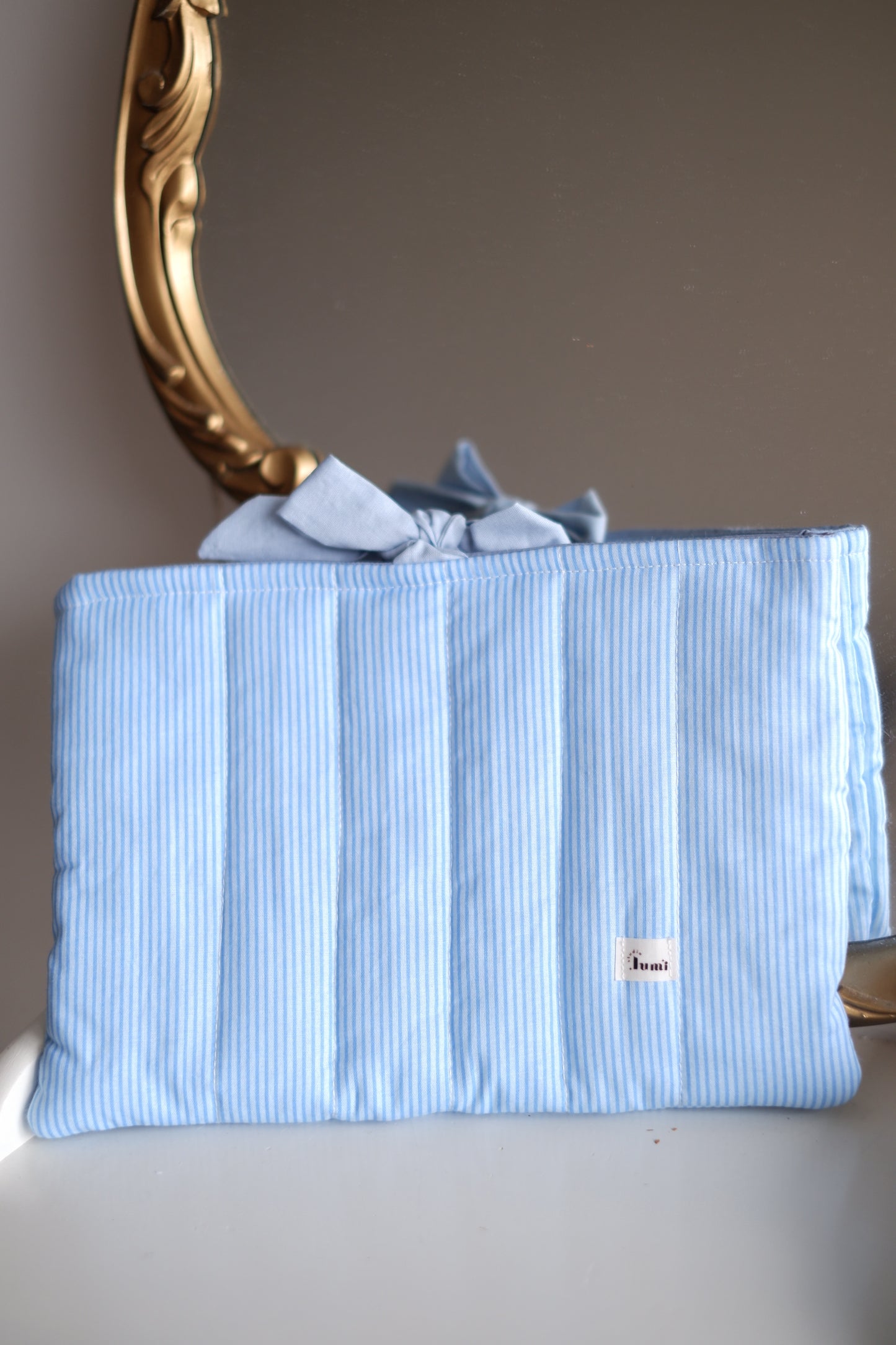 Blue Stripes Book Sleeve