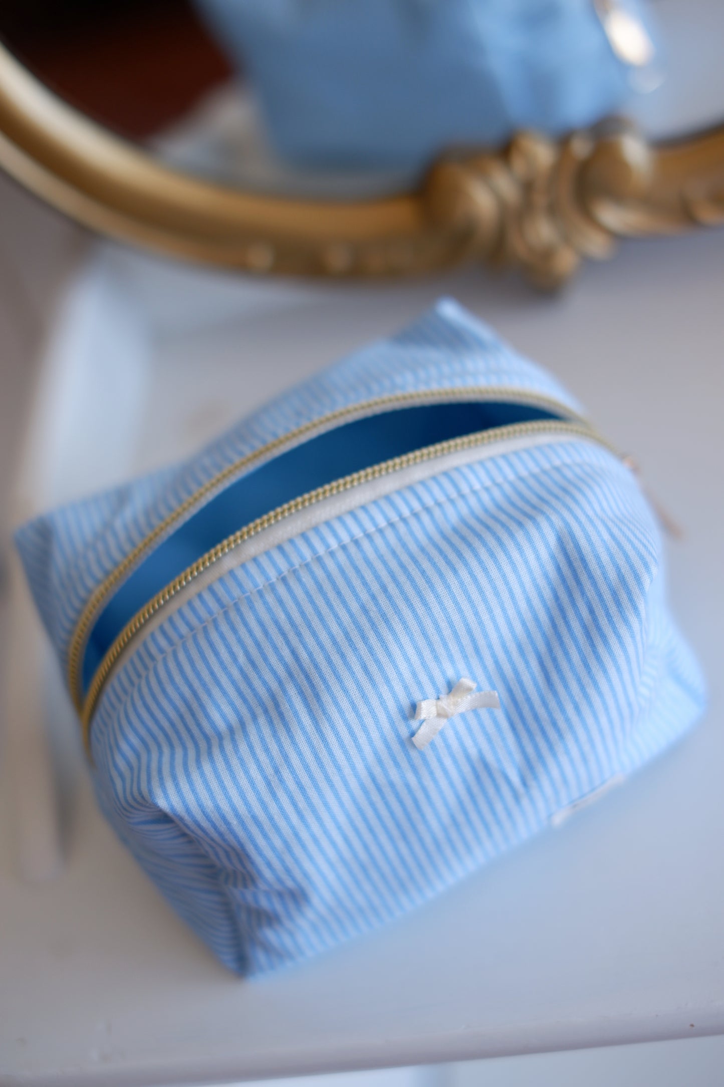 Pinstripe Blue Mini Essentials Carry All Pouch