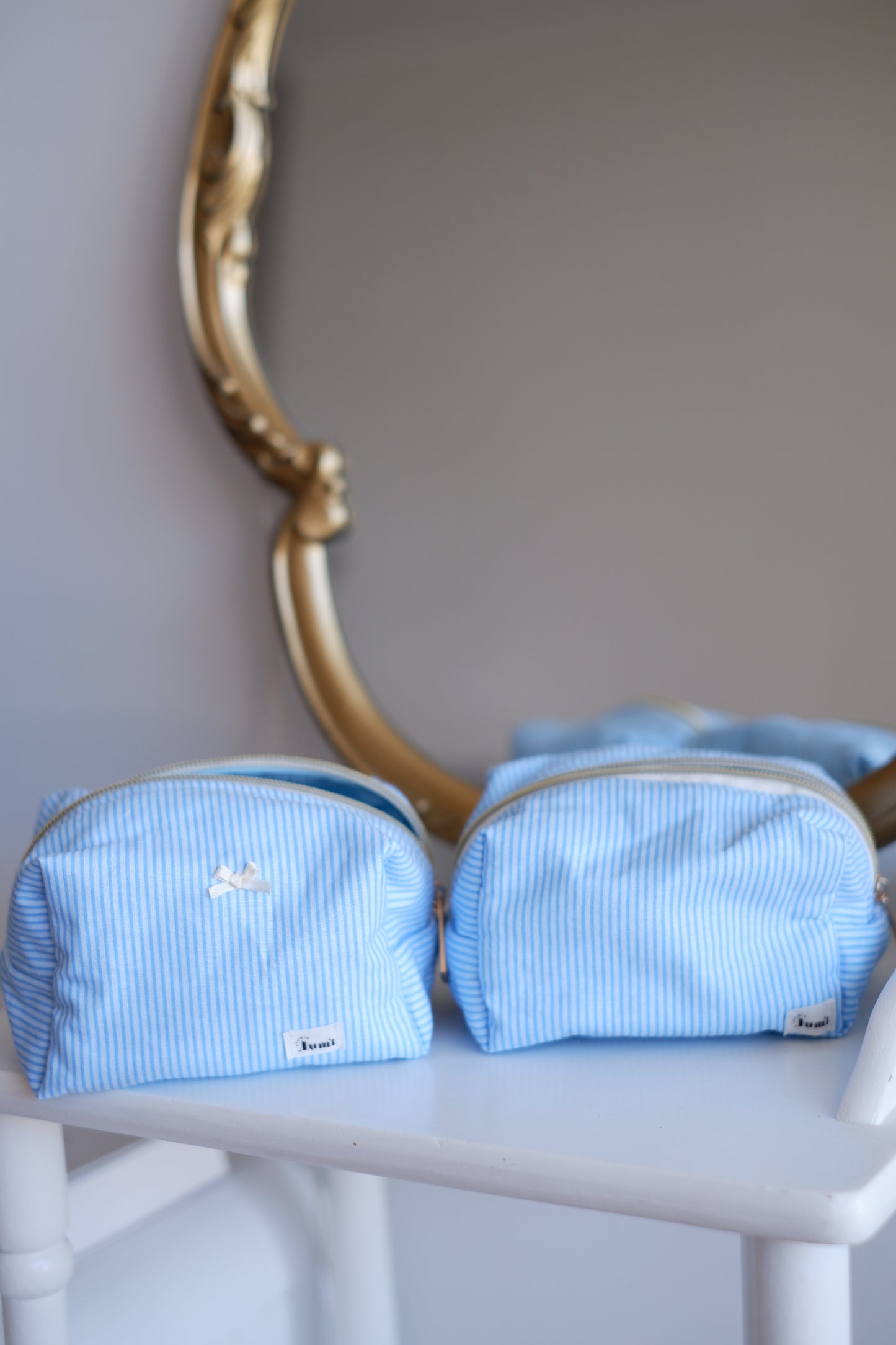 Pinstripe Blue Mini Essentials Carry All Pouch