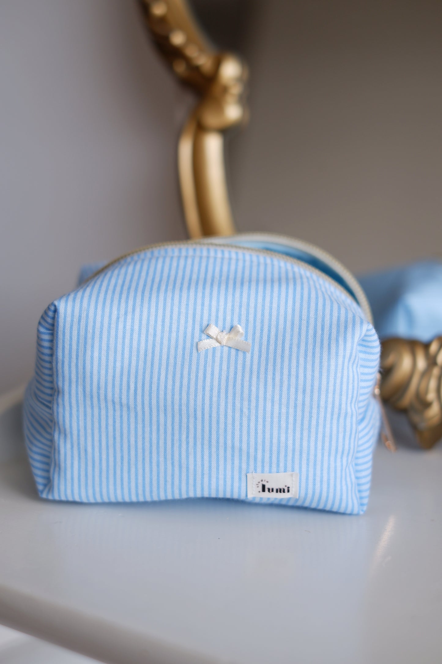 Pinstripe Blue Mini Essentials Carry All Pouch