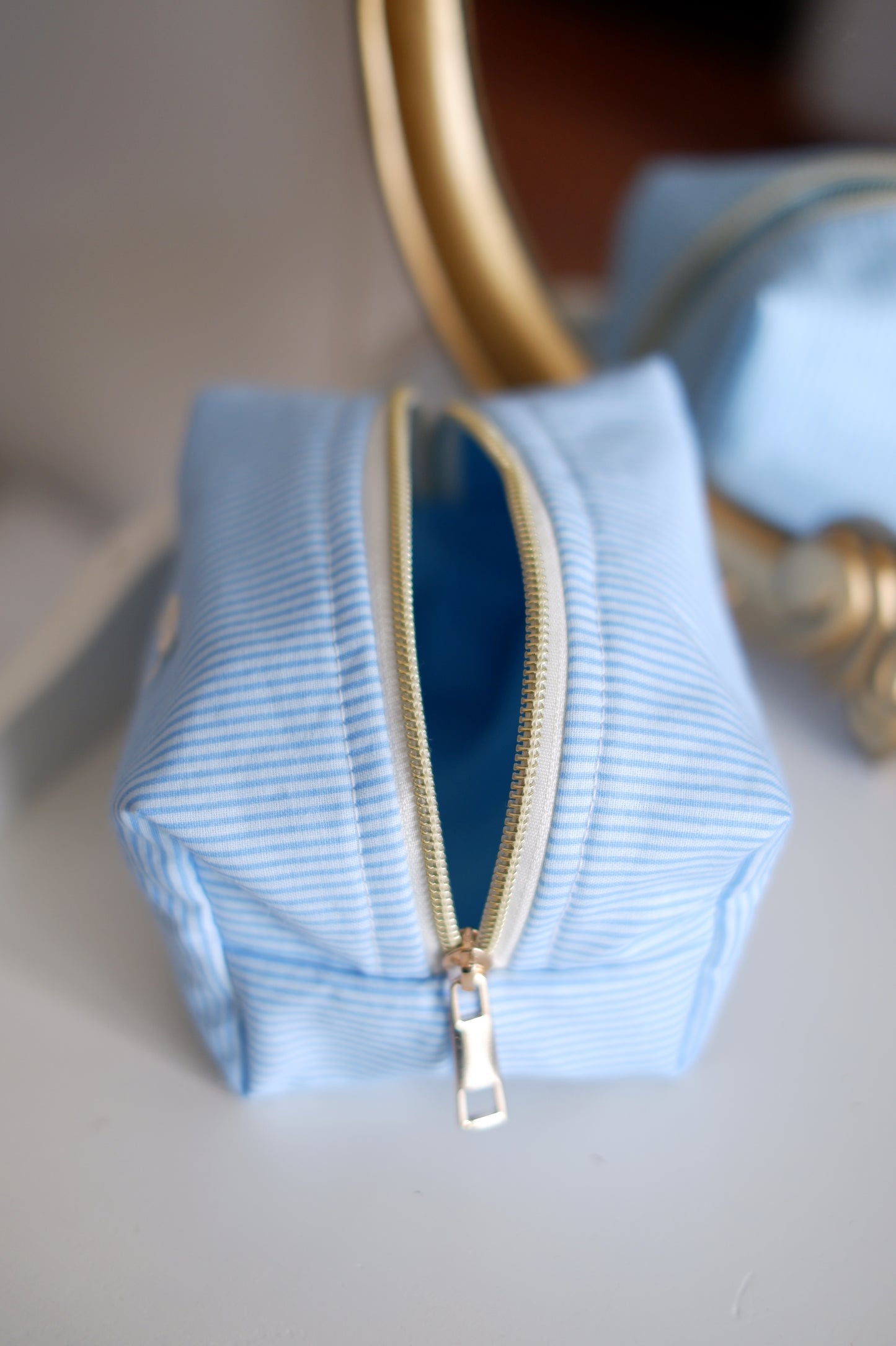 Pinstripe Blue Mini Essentials Carry All Pouch